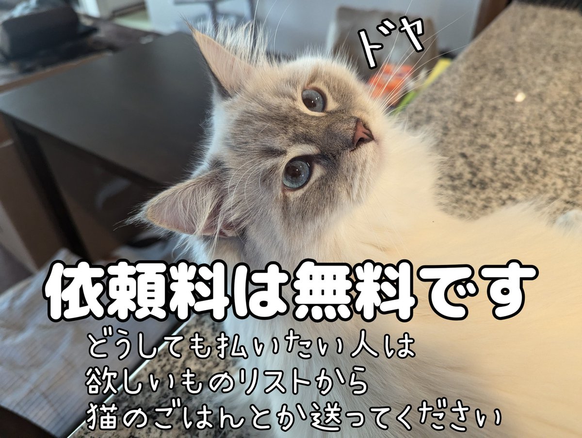 IMS1212's tweet image. 🐟️PC組み立て無料代行2025🐟️
🐈️リプ欄に続き有ります🐈️
