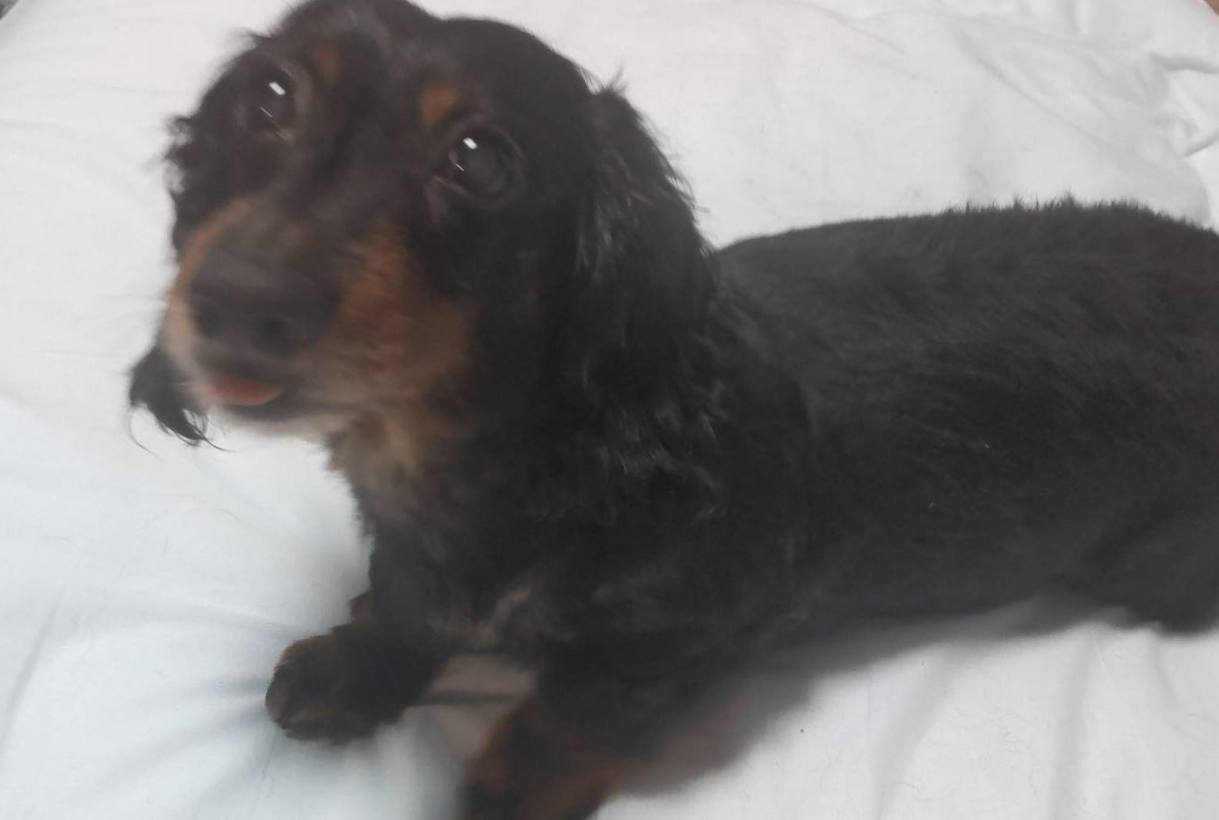 おまとめページ♡P3PN5（4/15までお取り置き可能です♡） 5/2までのお問い合わせで3000円相当のおまけ☆グラボ変更可