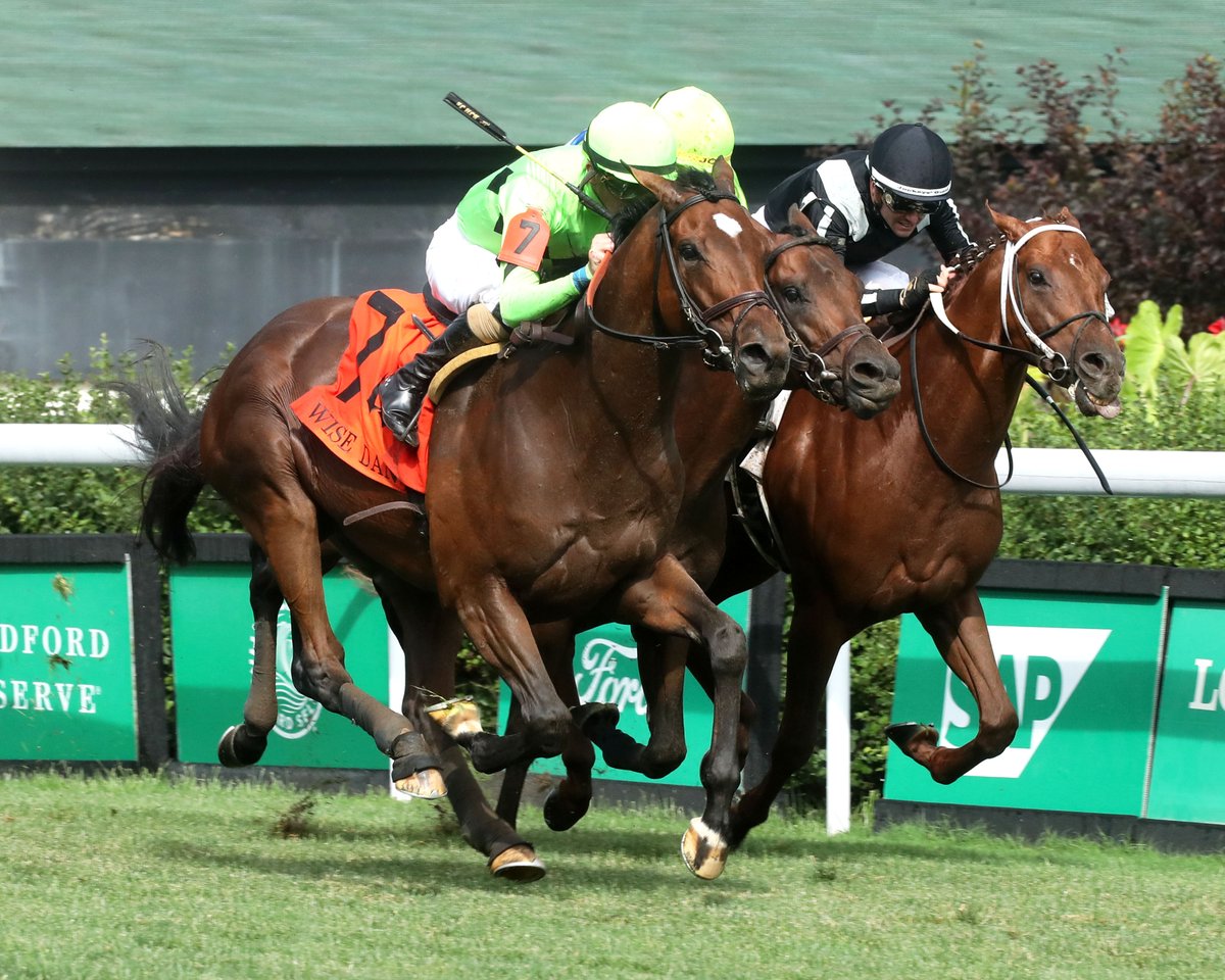 DerbyMedia's tweet image. Klein Racing’s homebred Brilliant Berti overcame a dawdling pace and powered home in the stretch to win Saturday’s $500,000 Wise Dan (Grade II) @ChurchillDowns by three-quarters of a length over Taking Candy with Lagynos another nose back in third. Stephen Foster on deck.