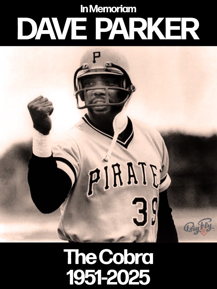 Big Fly®️ tweet media