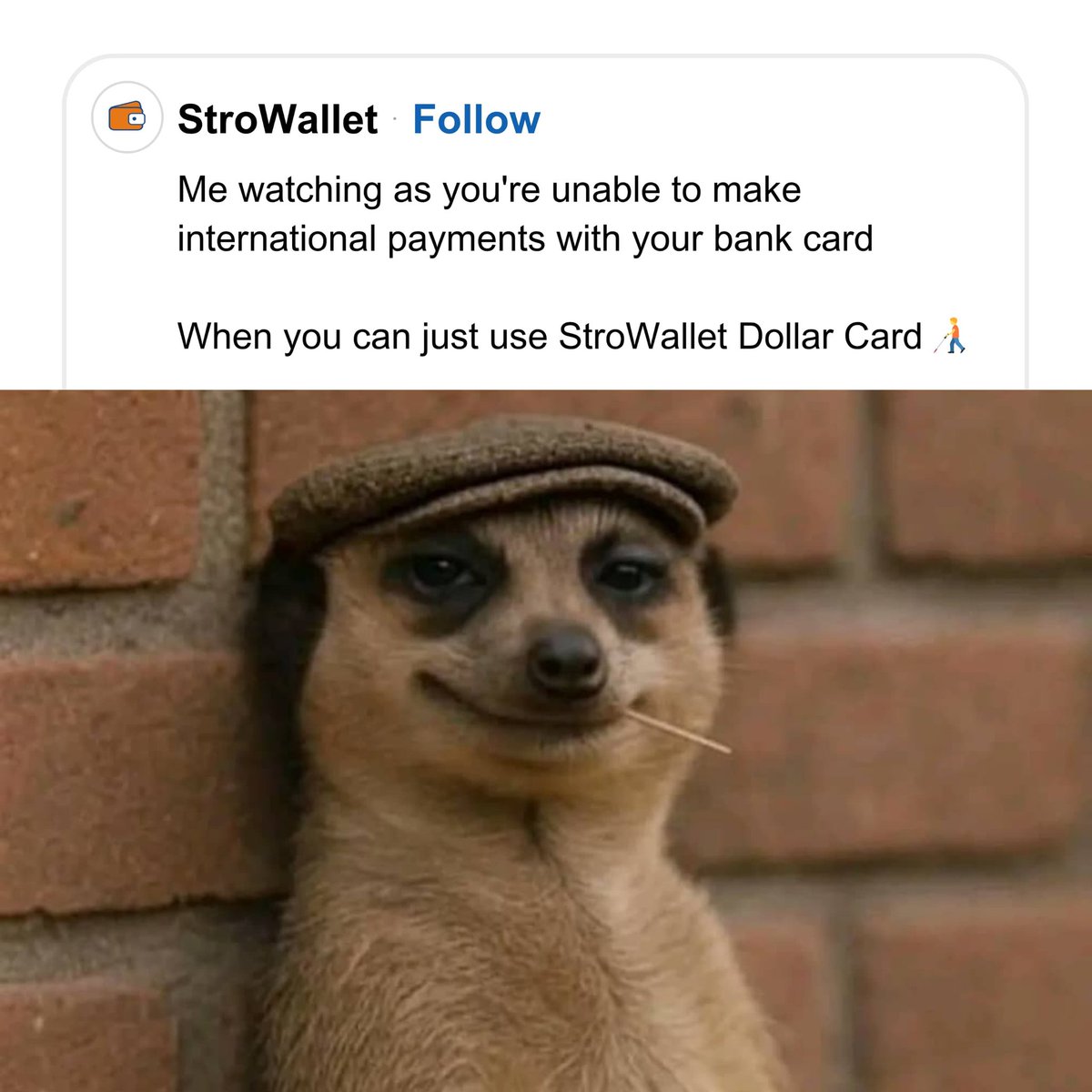 StroWallet's tweet photo. https://t.co/VhmoDOOXkf