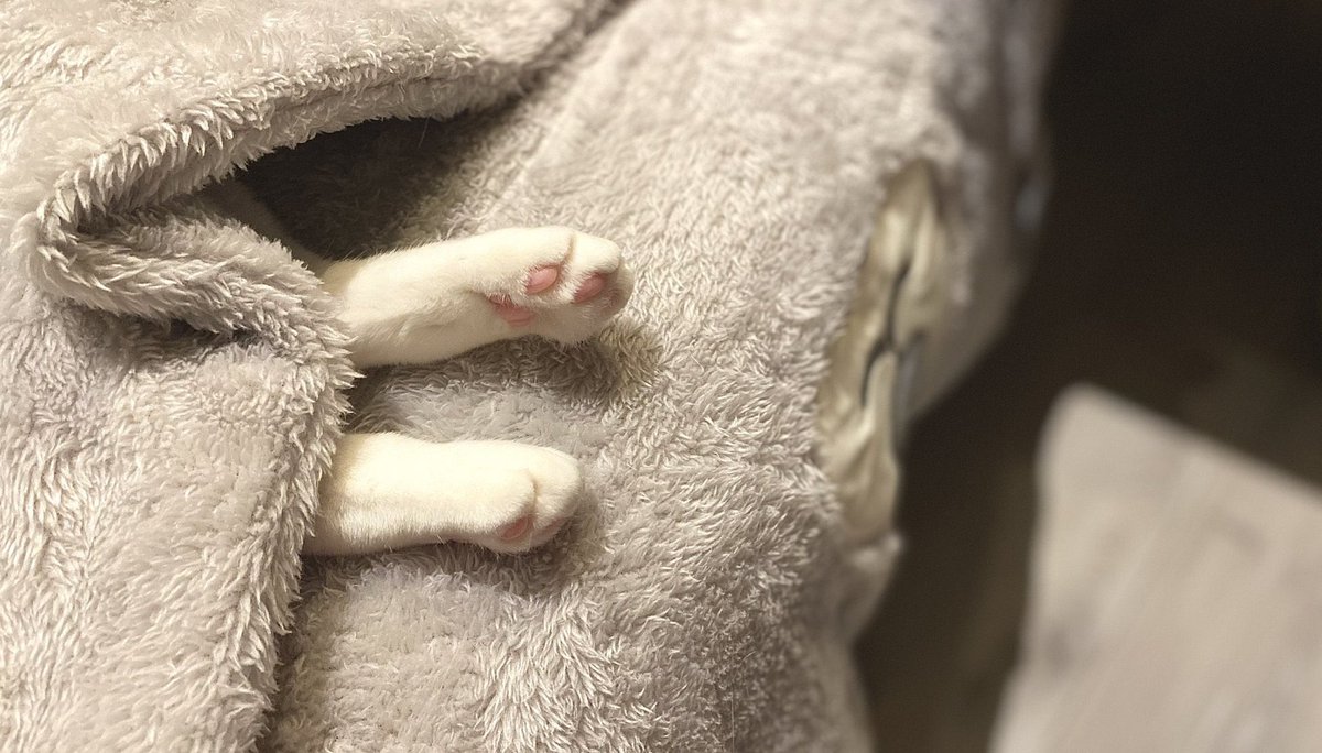 【休日こそ早寝を🌙】
昔：休日は夜更かし
今：休日こそ早寝

睡眠中に発毛を促す成長ホルモンがドバドバ〜髪や肌に大切な栄養や血もたっぷり作られる。せっかくの休みはドラマや映画、漫画やゲームで夜ふかししたくなるけど…自分へのご褒美なら、まずは睡眠が一番☺︎