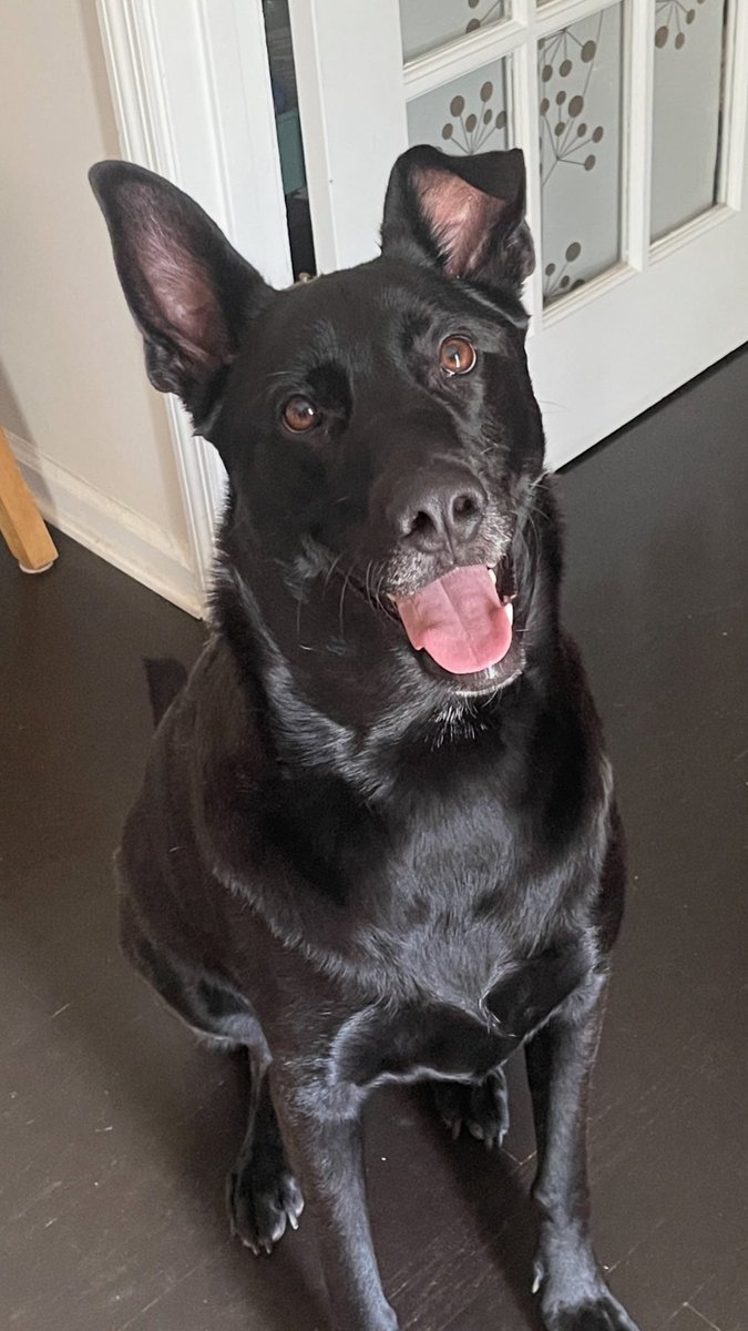 Jerico (@cursed_jer) on Twitter photo 