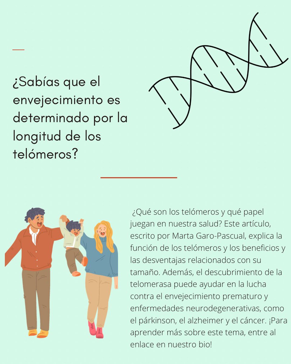 KnowingNeurons's tweet image. ¿Qué son los telómeros y qué papel juegan en nuestra salud? Este artículo, escrito por Marta Garo-Pascual, explica la función de los telómeros y los beneficios y las desventajas relacionados con su tamaño. ¡Descubre más sobre este tema, entrando al enlace en nuestro bio!