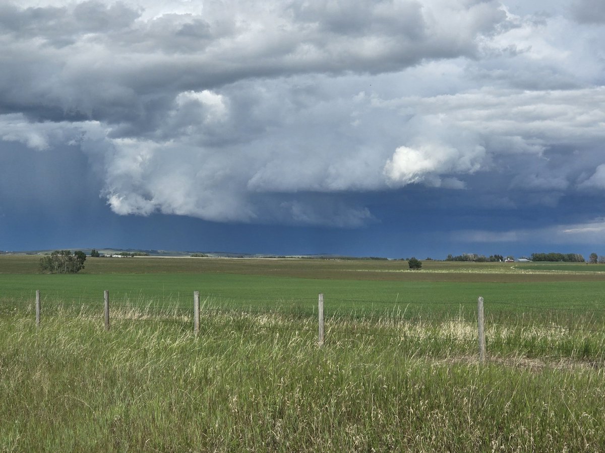 CrestaB1's tweet image. At the back of the storm from Longview looking towards okotoks and highriver #abstorm #localweather