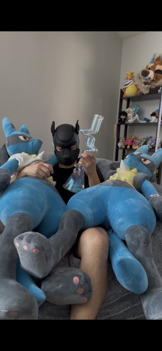 isodawg_'s tweet photo. 3 dogs https://t.co/CNMPWJVoI4
