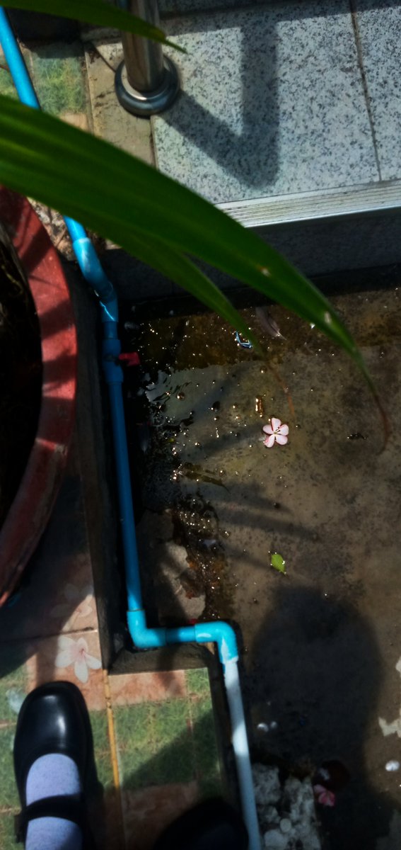 เรื่อยเปื่อย