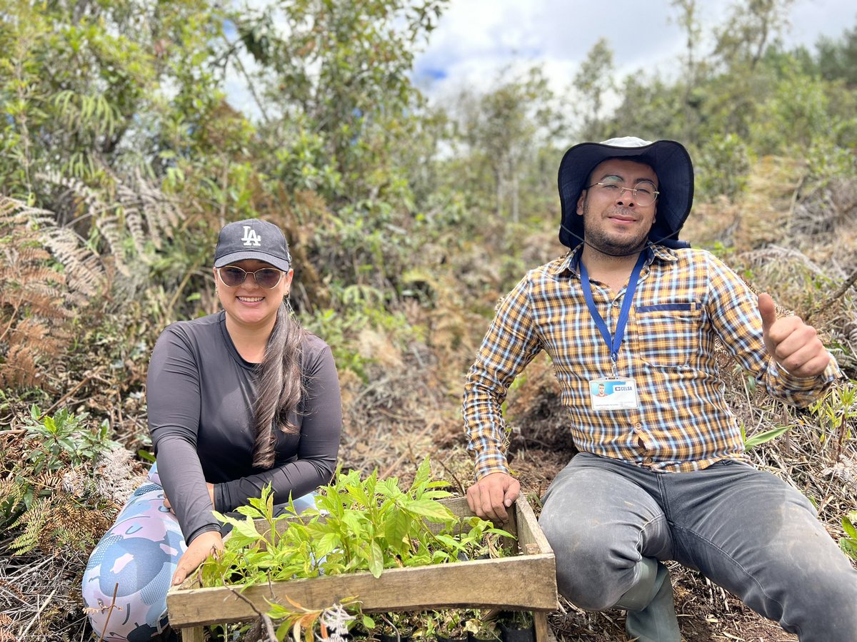 Hoy conmemoramos el #DiaMundialdelArbol sembrando vida  con nuestra plan Oriente Regenera, en alianza con <a href="/MasbosquesCol/">Masbosques ®</a> 🤩  Gracias a 10 de nuestras empresas afiliadas por sumarse a este gran siembra voluntaria que le apuesta a la regeneración del territorio🌳💚