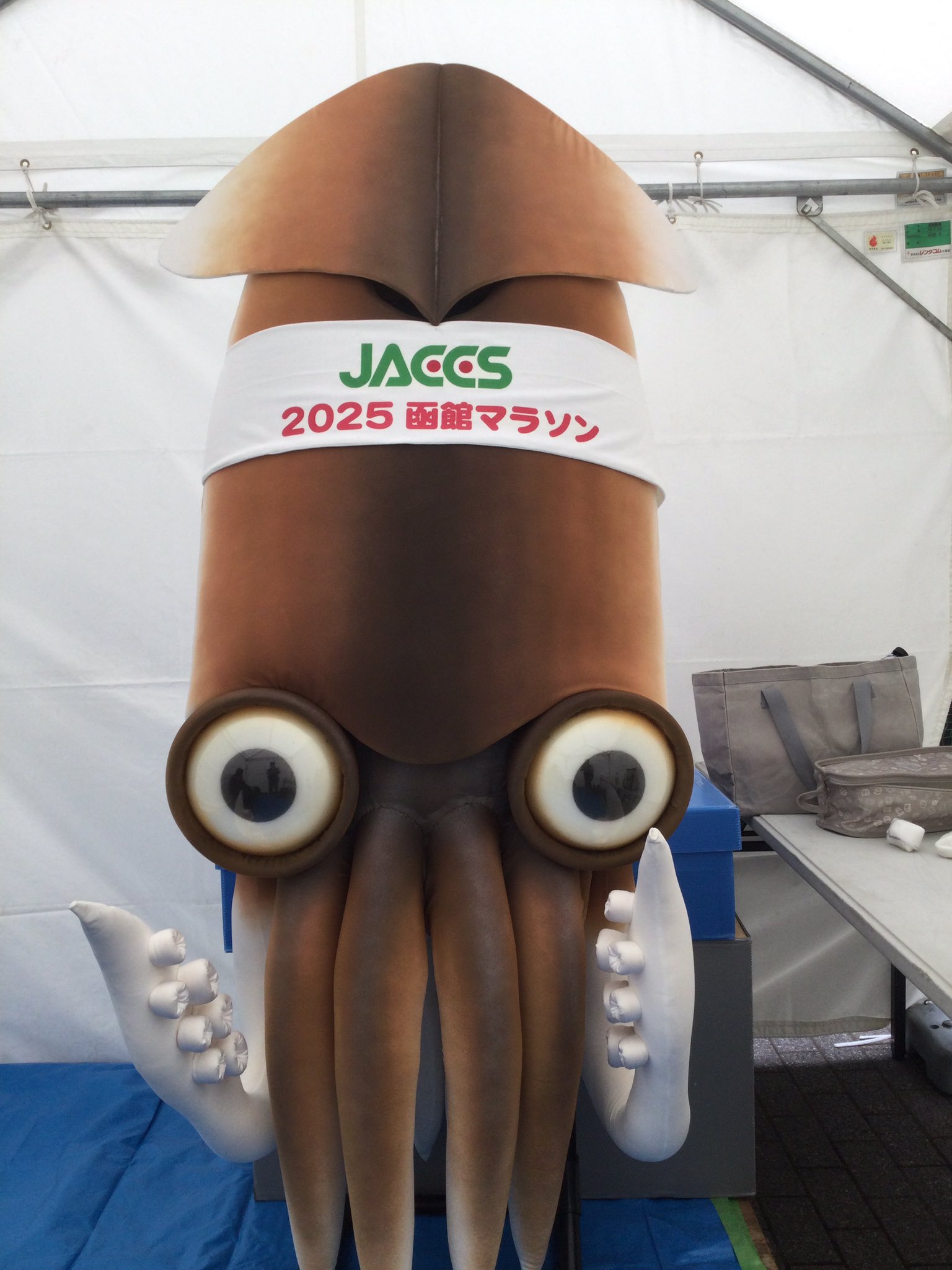 イカール星人　ソフビ　マーミット　函館　北海道 イカール星人」と函館のイカ｜ゆるキャラ