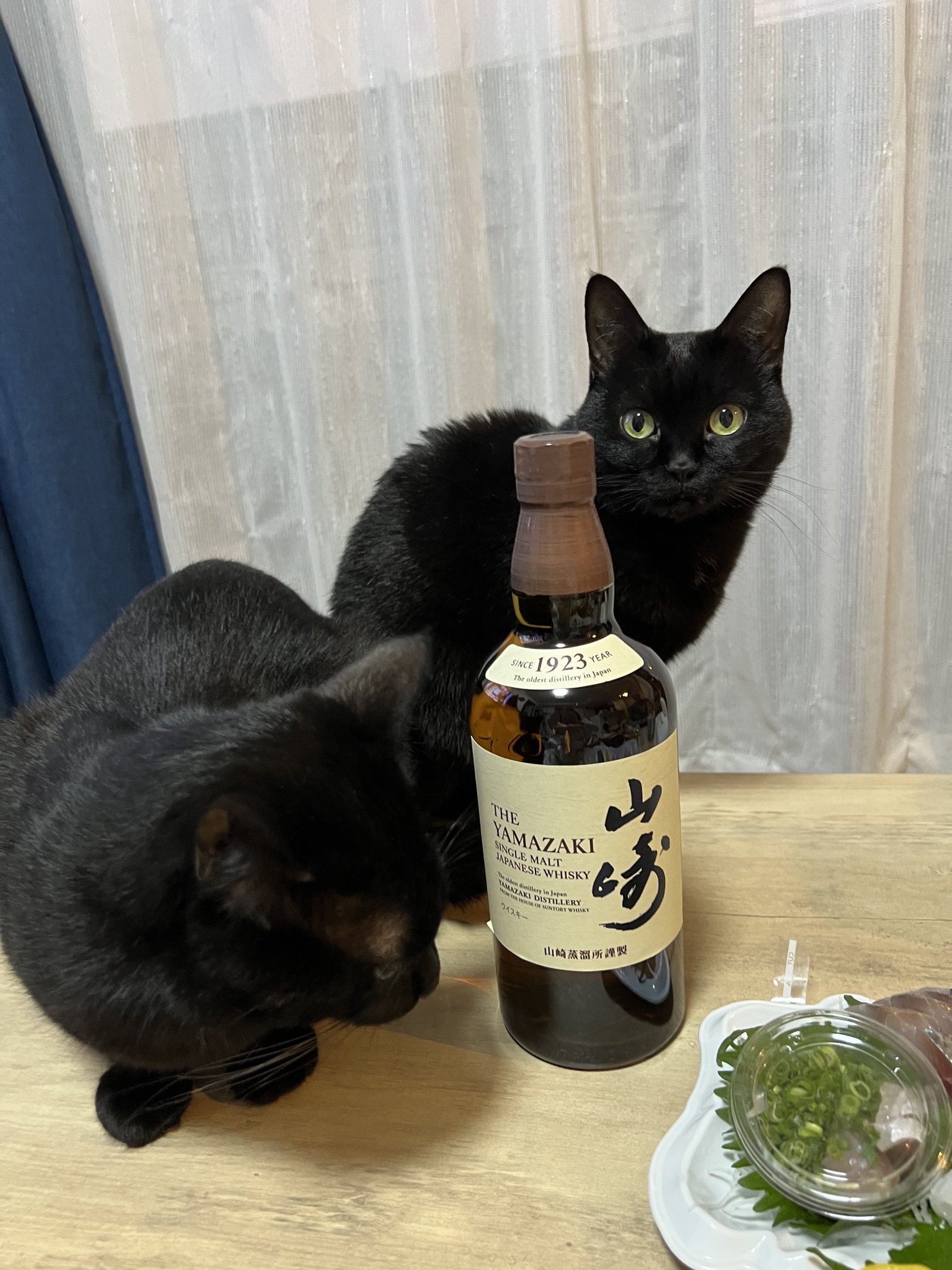 黒猫おはぎ🐈‍⬛林遊眠@劇団ショウダウン on X: 