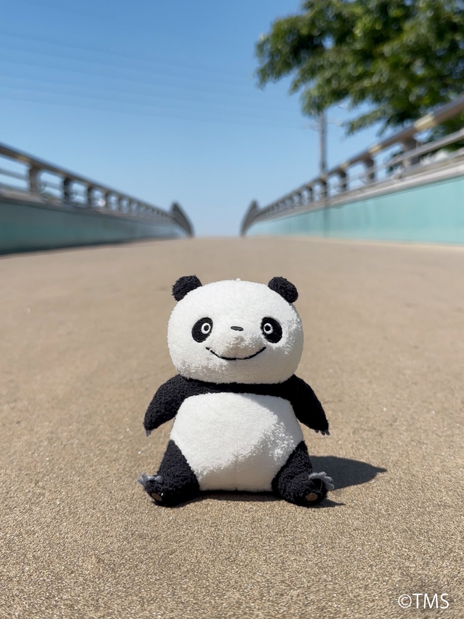 パンダコパンダ　パンちゃん　笑い　S ぬいぐるみ Amazon.co.jp: パンダコパンダ パンちゃん 笑い S ぬいぐるみ