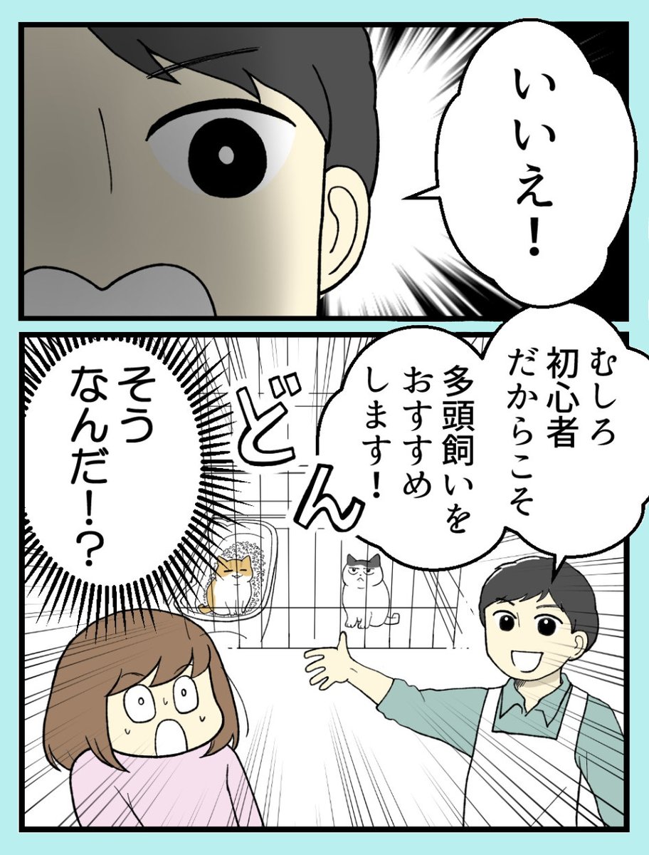 猫飼い初心者に
多頭飼いをすすめる理由(0/10)

#漫画が読めるハッシュタグ 