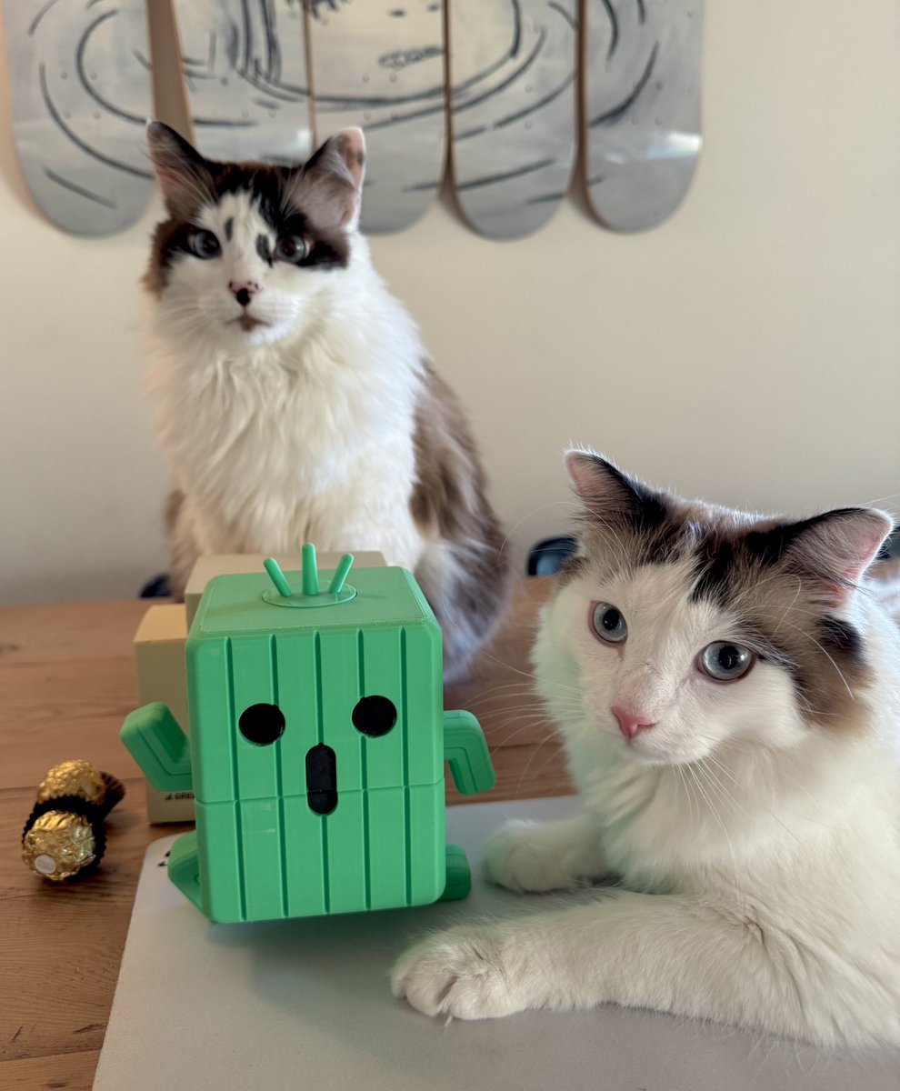 cactuar deck box update: cat approved