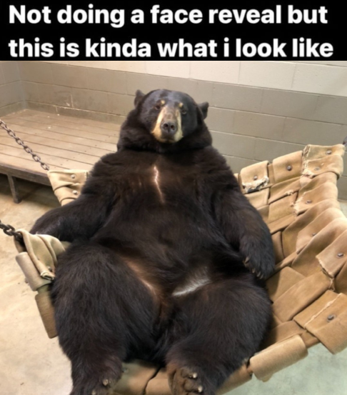 BearyDales (@bearydales) on Twitter photo 