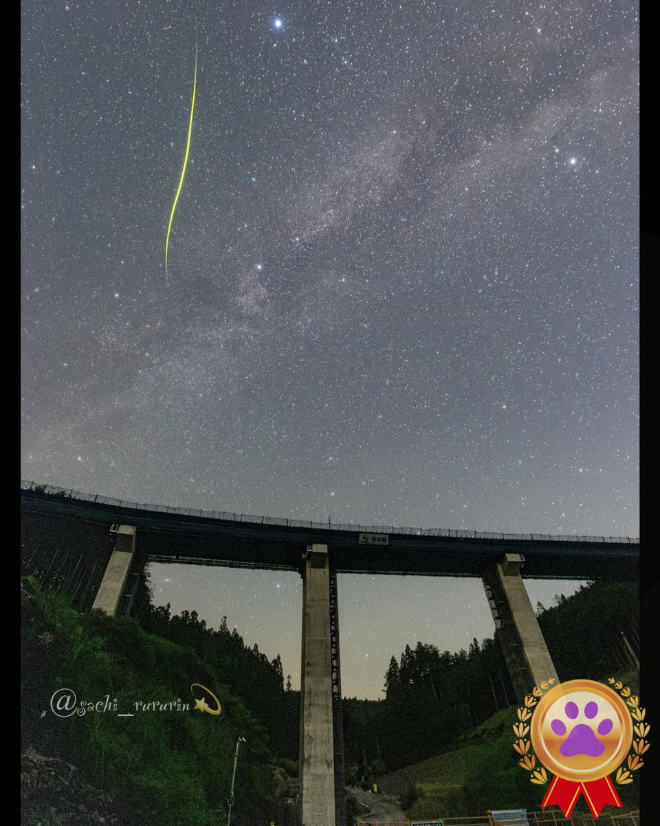nekocafe_star's tweet image. 🚀 6月29日、星空gallery 🛰️
『今日の1枚』より
📷photographer : @sachi_rururin
instagram.com/p/DLdhm8nzEqP/
#猫のいる星空cafe