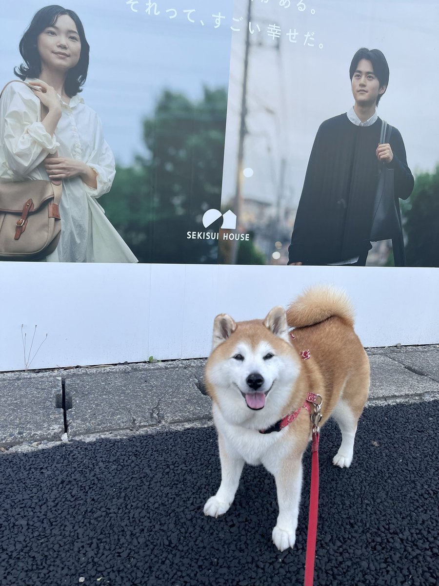 鈴鹿央士くんいたね〜🤭