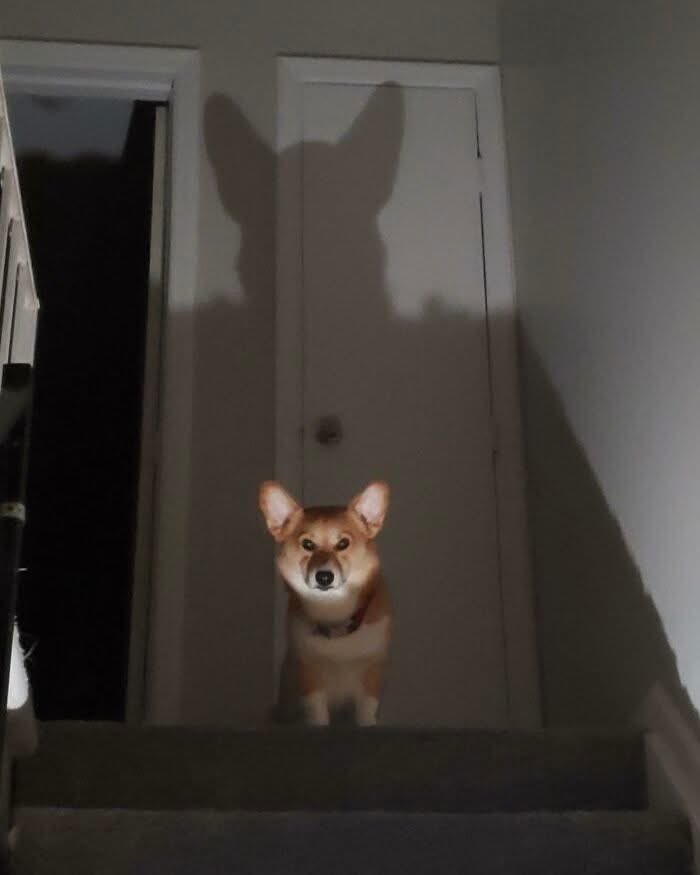 POV : you’re 5 minutes late for feeding 😂