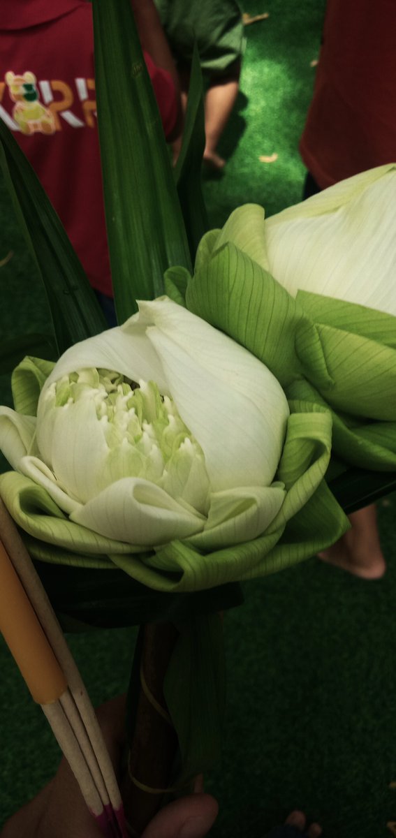 21 june เดือนหน้าค่อยมาลงต่อ ตัดจบด้วยรุปนี้แหละ เดือนนิ้ไม่สาหัสเท่าไหร่ แต่ก้แอบเครียด บทเรียนชีวิตเยอะมาก จากคนทิ่พุดมาก้เป้นคนพุดน้อยละตอนนิ้ TT   bye bye ja jae kan July na 👩‍❤️‍💋‍👩👩‍❤️‍💋‍👩