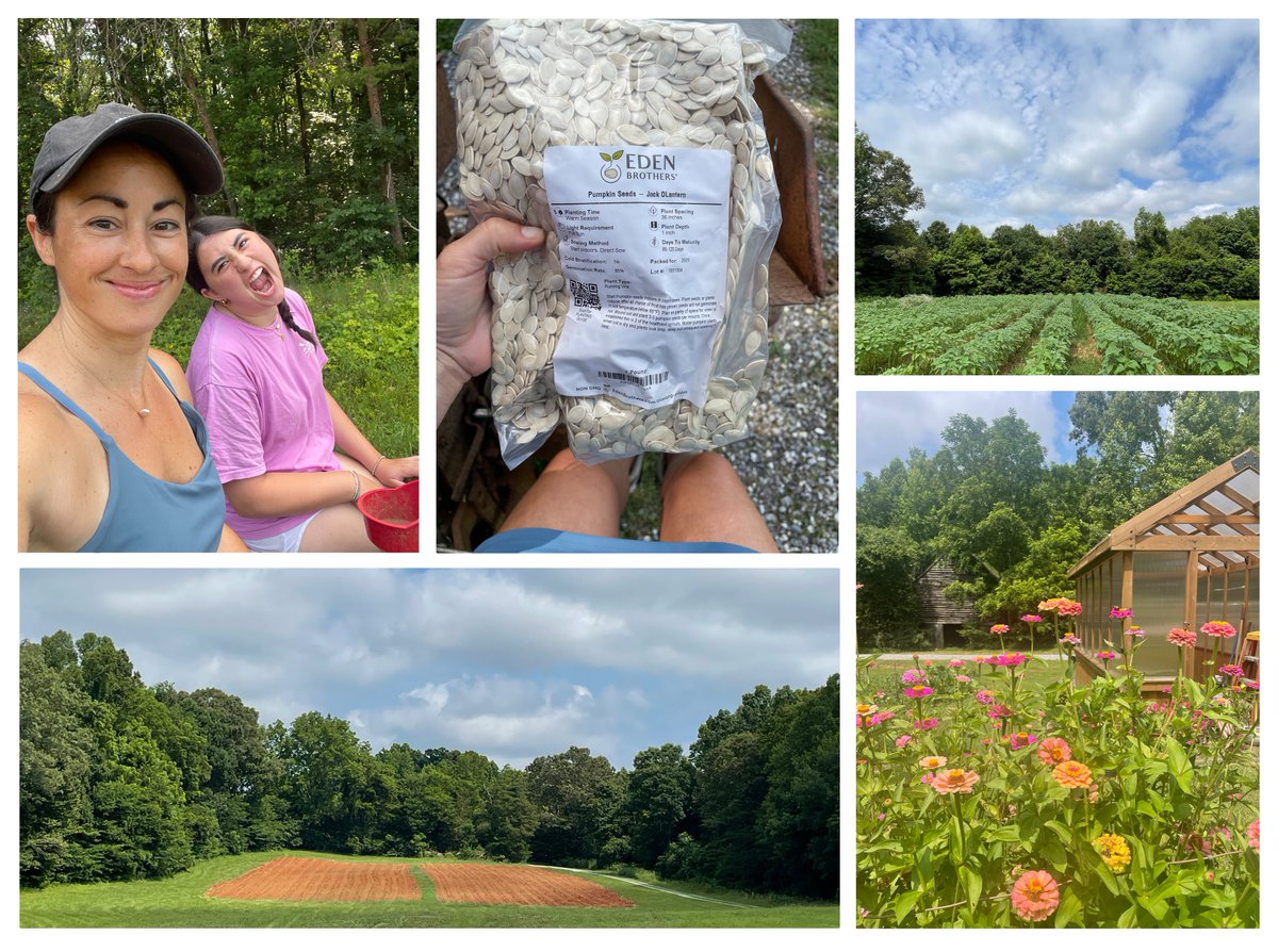 MrsOArtStudio's tweet image. This year’s pumpkin patch feels extra special…my soon-to-be 14-year-old finally joined in. Pumpkins coming soon and sunflowers on the way! 🎃💛🌻