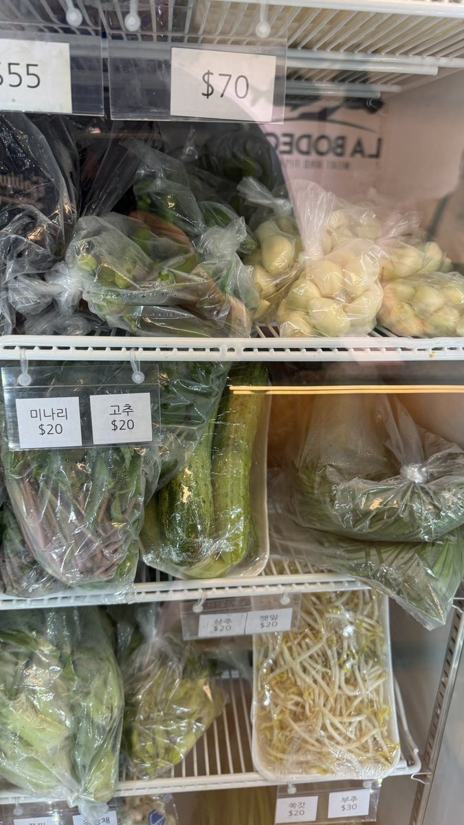 El Chihuahipster tweet media