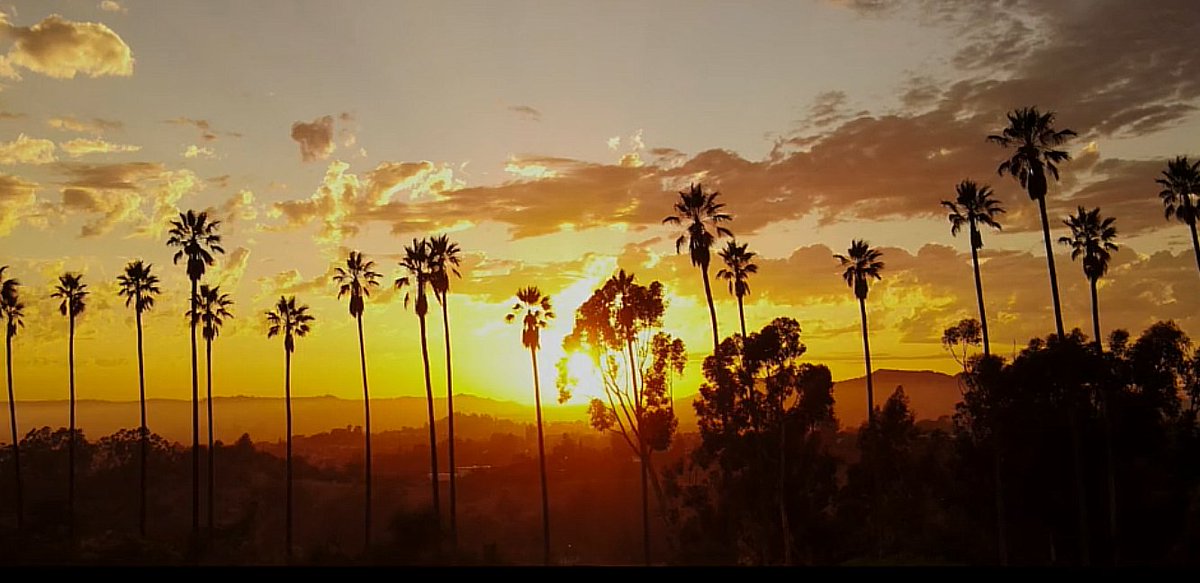 daydayjonesosn's tweet photo. Amazing! 2025 https://t.co/pijlTRHw4U