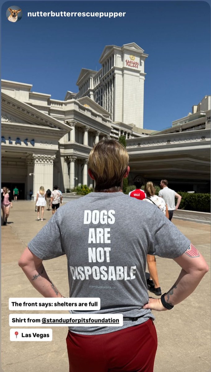 SUFPFoundation's tweet image. BUY IT. WEAR IT. EDUCATE. HELP SAVE LIVES.
bonfire.com/store/stand-up…
#standupforpits #angelforever #educate #betheirvoice