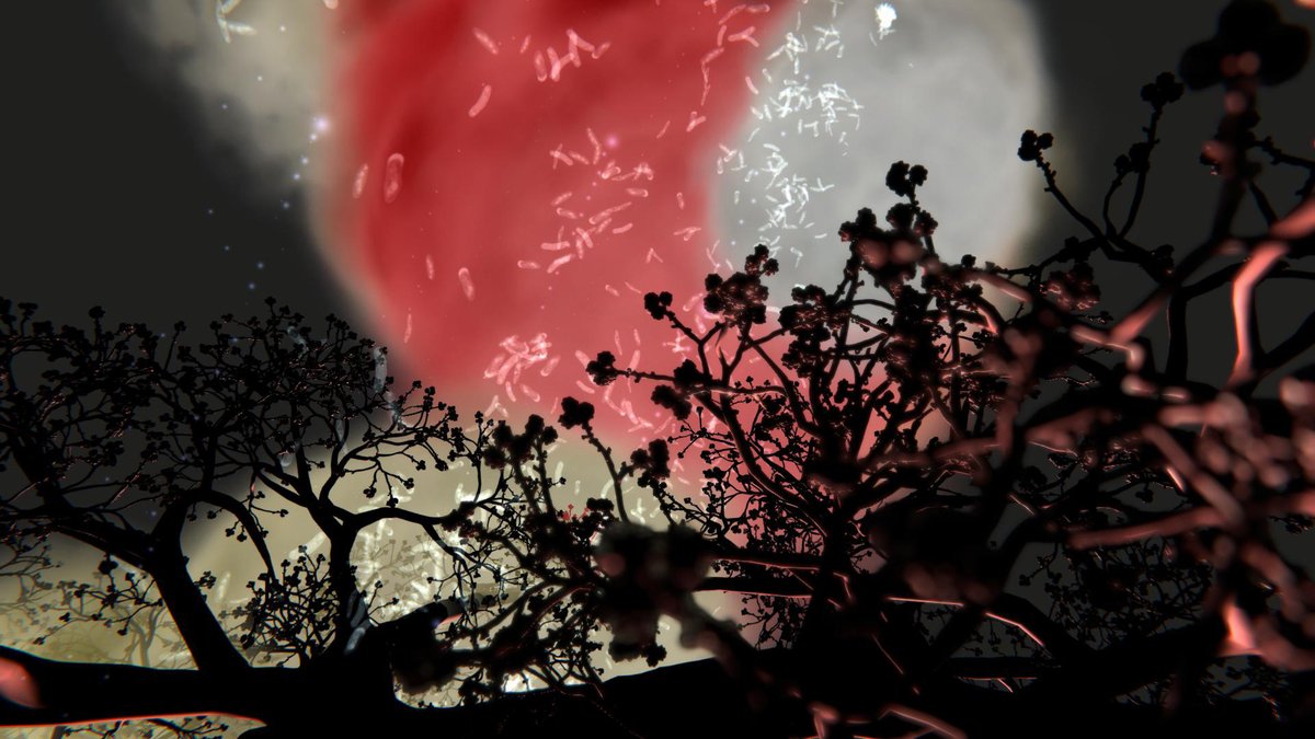I've just joined <a href="/objktcom/">objkt</a> thanks to <a href="/alexmayarts/">Alex May</a> and we've launched my first NFT with a gorgeous still from "Susceptible" based on a data visualisation of antibiotics, bacteria, international flight data and a forest of lung alveoli. A collaboration Anna Dumitriu X Alex May