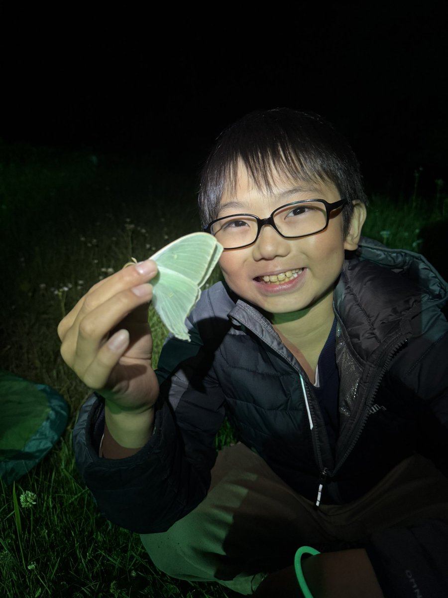 Dr_Akito's tweet image. Very fun few days with Jo Nagai, the wunderkid of Japanese entomology. We spent time looking for butterflies and moths! My dad did this with me - it’s nice to help the next generation. We went to the Japanese bug hotel!