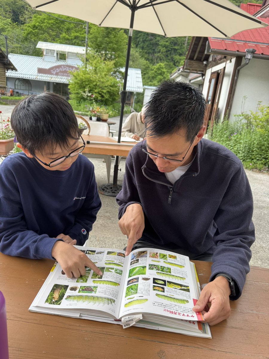 Dr_Akito's tweet image. Very fun few days with Jo Nagai, the wunderkid of Japanese entomology. We spent time looking for butterflies and moths! My dad did this with me - it’s nice to help the next generation. We went to the Japanese bug hotel!