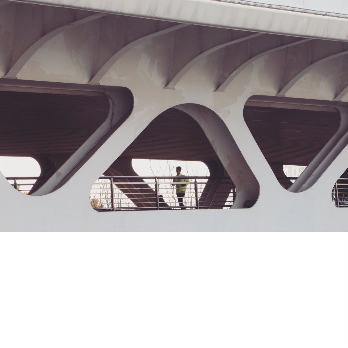 Crystal Chen (@crystal_chen_) on Twitter photo 