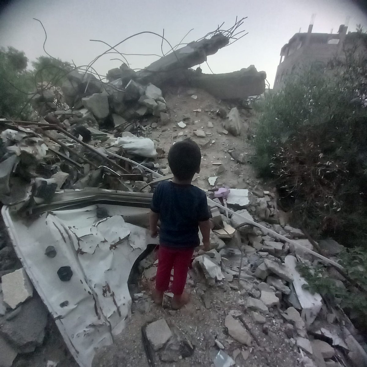 No food No water No hope
Just a mother watching her kids suffer in Gaza
Don’t scroll Help us 🙏
My children are orphans, please help me 💔💔🙏
chuffed.org/project/135914…