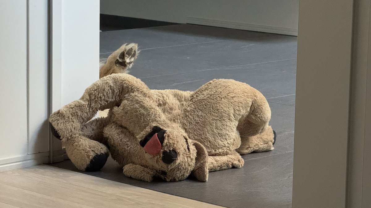 近くに居てくれてると思ったらイケゴルだった