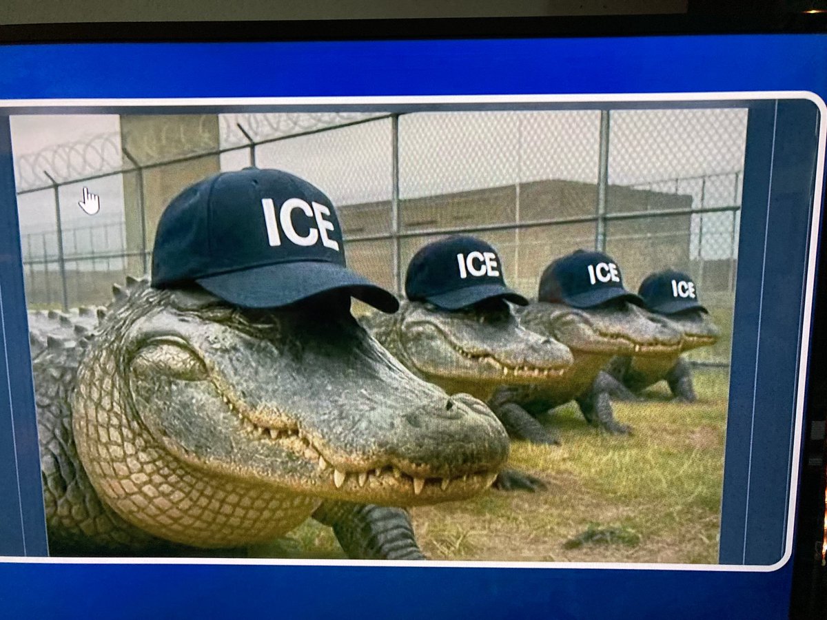 Coming Soon ‼️
alligator Alcatraz 🇺🇸❤️