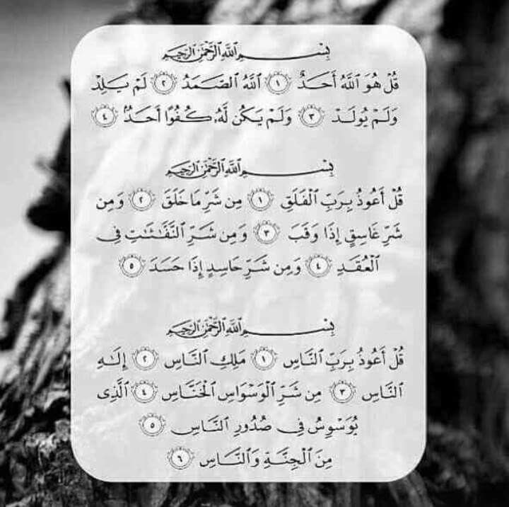 صدقة جارية على روح حبيبي طارق نادر اقرأ الفاتحة و ادعيله بالرحمة و المغفرة .