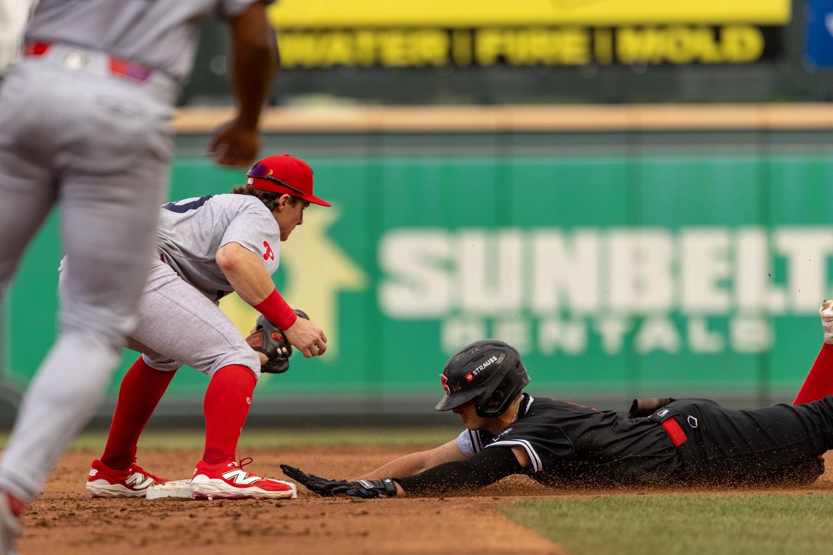 GoSquirrels's tweet photo. Just a Dirty Squirrel doing Dirty Squirrel things https://t.co/7l9pSJdyUW