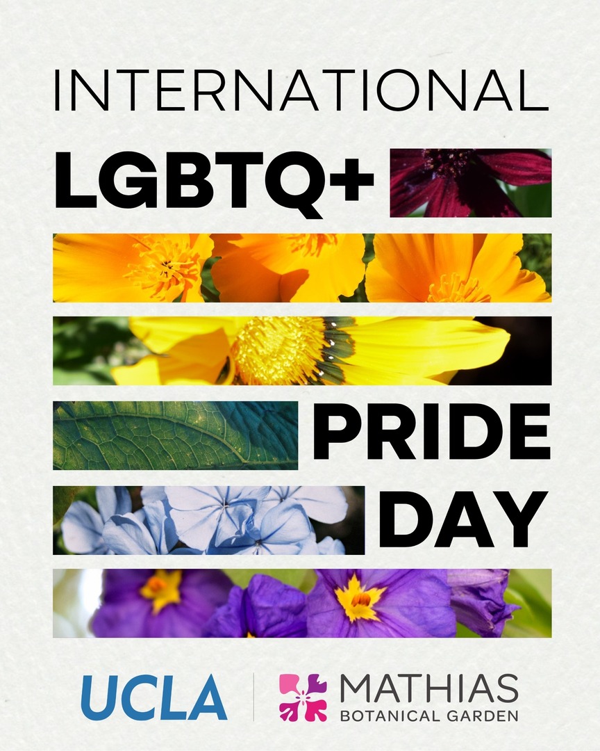 Happy International LGBTQ+ Pride Day! Celebrate the beautiful diversity that makes our world vibrant! 🌈🌱