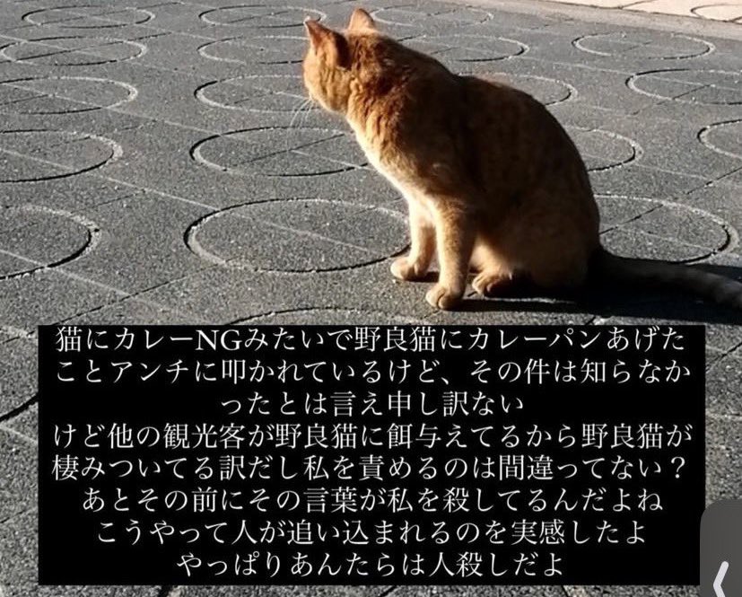 【syamu学豆知識】
猫殺し構文
→野良猫にカレーパンを与えた件で後にsyamuが出した謝罪風お気持ち表明

マトモに謝っている（ように見える）のは文頭だけで残りは自分を過剰に叩くアンチへの恨みつらみが書き記されておりS度が高い

界隈では「けど！💢」の一文で通じたりする
#syamu