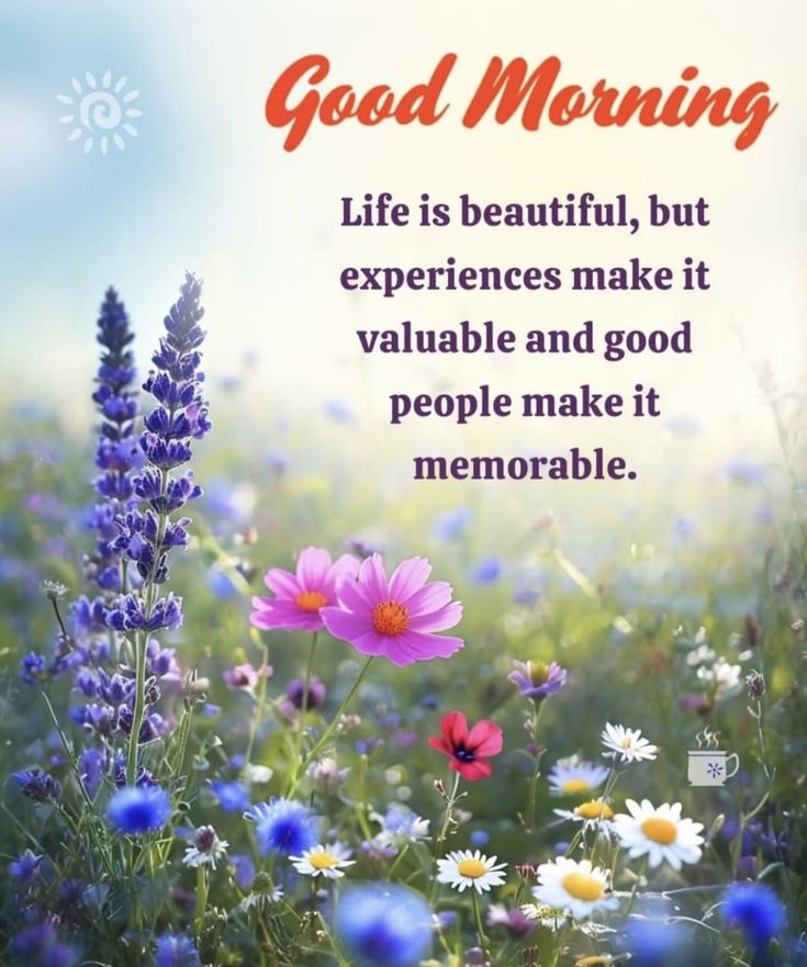 Assalam o Alaikum!🩷
Good Morning!🌄
Have a Blessed Day!🪻