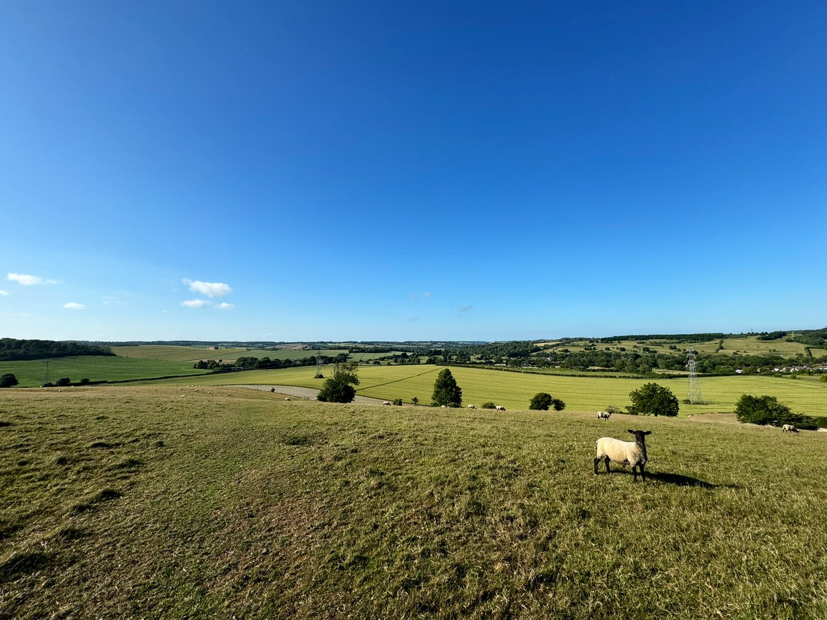 APCAFC's tweet image. It was the 3rd time in the last year thst I’ve witnessed the magnificent views from Etchinghill rocket launcher.

Last year I was here walking the #NorthDownsWay and last month I restarted the #SaxonShoreWay here

SIDE PROJECT
#ElhamValleyWay

#GoingAroundtheUKCoastAgain 
Day 148