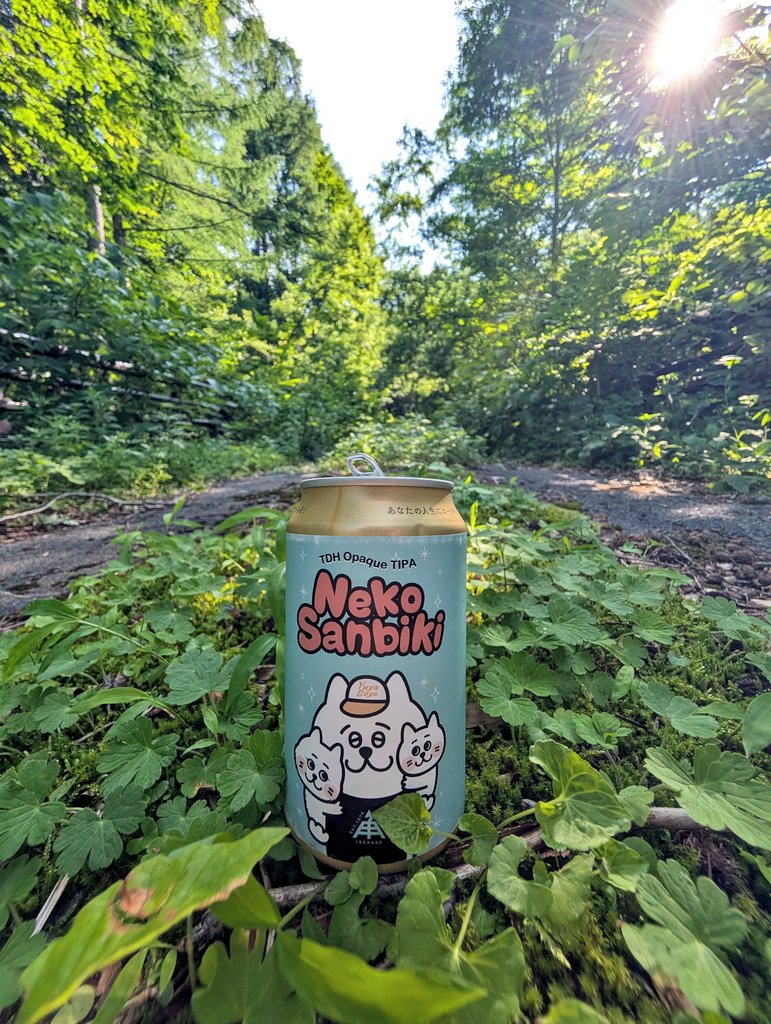 お山でビール飲みたい tweet media