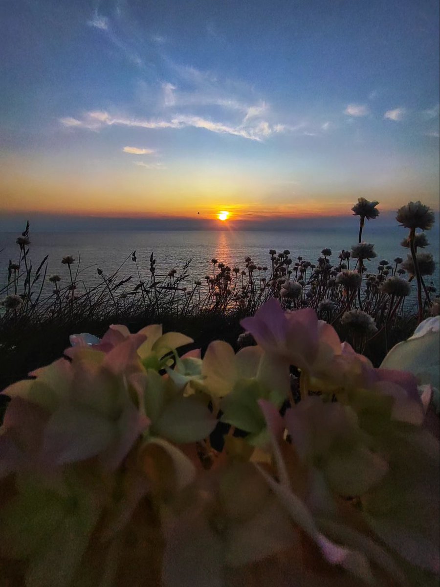 Flowers and sunsets, portreath 
<a href="/ITVCharlieP/">Charlie Powell</a> <a href="/itvwestcountry/">ITV News West Country</a> <a href="/itvweather/">ITV Weather</a> <a href="/SpotlightUK/">Spotlight</a> <a href="/BBCSouthWeather/">BBCSouthWeather</a> <a href="/Kernow_outdoors/">Great Cornish Outdoors</a> <a href="/SunsetSnaps/">Sunset Snaps</a> <a href="/ChrisPage90/">Chris Page - Weatherman</a> <a href="/BBCCornwall/">BBC Cornwall</a> <a href="/CornwallLifeMag/">Cornwall Life</a> <a href="/ILoveCornwallUK/">Visit Cornwall</a> <a href="/BBCCountryfile/">BBC Countryfile</a>