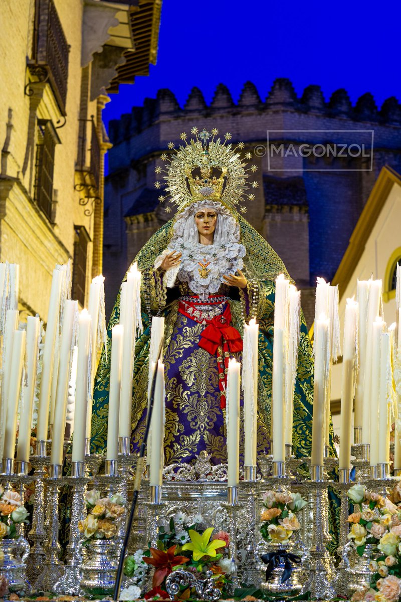 La "Macarenita" de la Calle Parras

#magonzol #Macarenita #LaMacarenita #CalleParras #GloriasSevilla25 #GloriasSevilla2025 #TDSCofrade