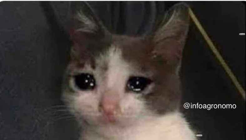 — Los papás de mi amorcito: ya eres
parte de la familia.
— Yo: muchas gracias 
— Mi suegra: tú que eres Ingeniera
Agrónoma, dame masaje en las plantas
de los pies. 
— YO: