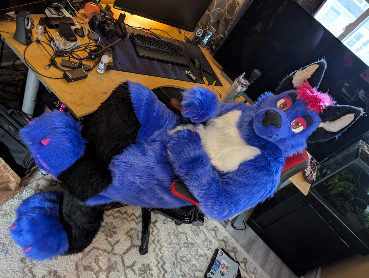 WTRsausage's tweet image. A dog is born. Owner picked him up today and is on way to step on a dragons face.
#furry #fursuit #fursuitmaker