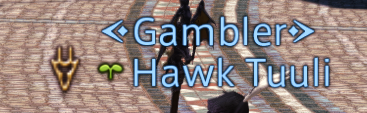 BadFFXIVnames's tweet photo. Resubbed cause I got the housing itch. Not sure if this sprout made a hawk tuah reference in 2025 but i'm sharing it just in case
#ffxiv #ff14 https://t.co/roENTbotym
