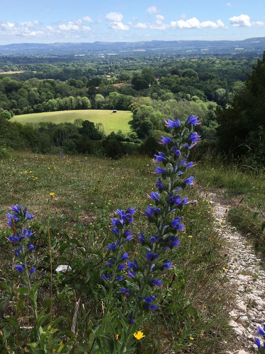 Day 28 #30DaysWild Noticing … wild vistas …