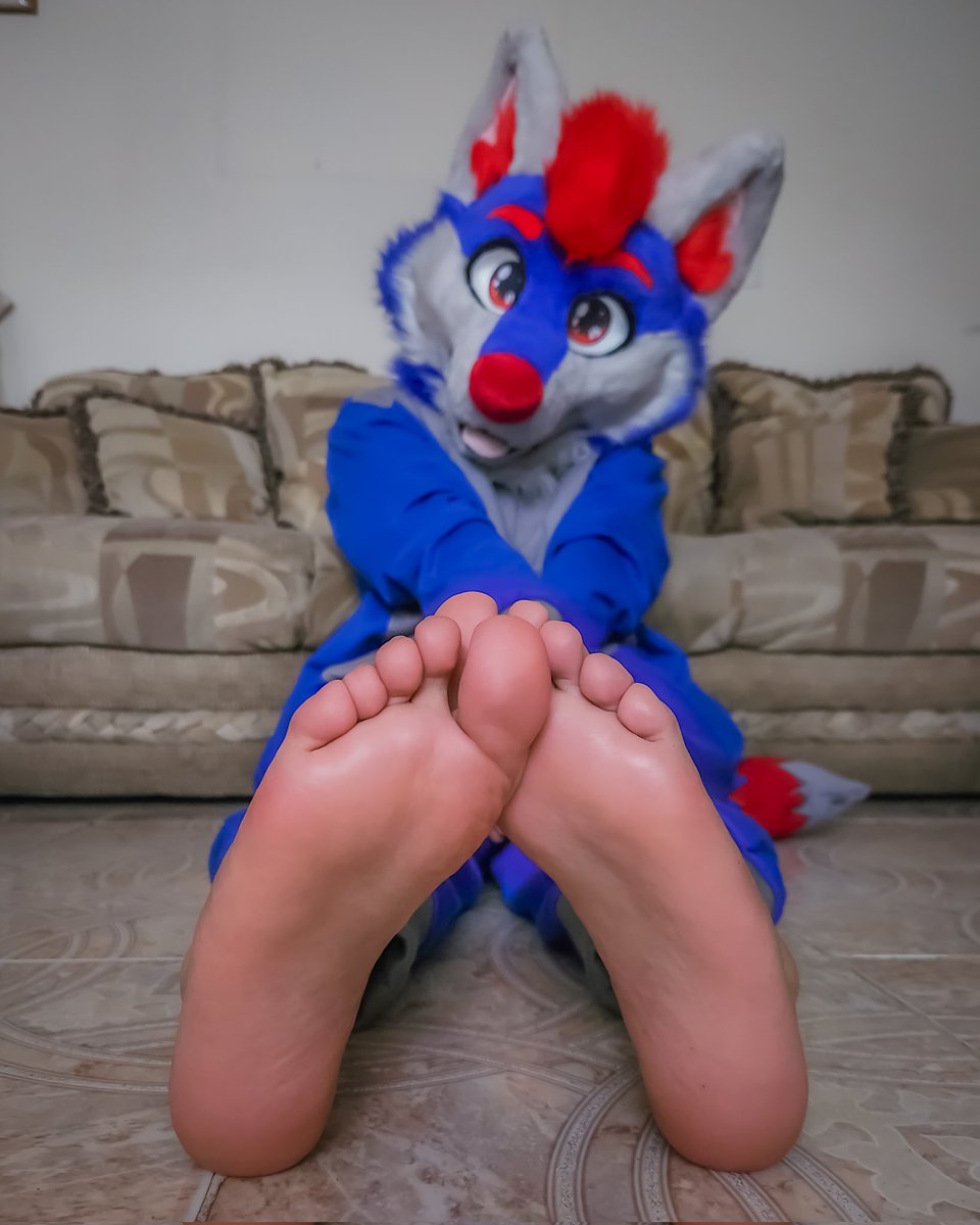 Rockey Pawsy tweet media