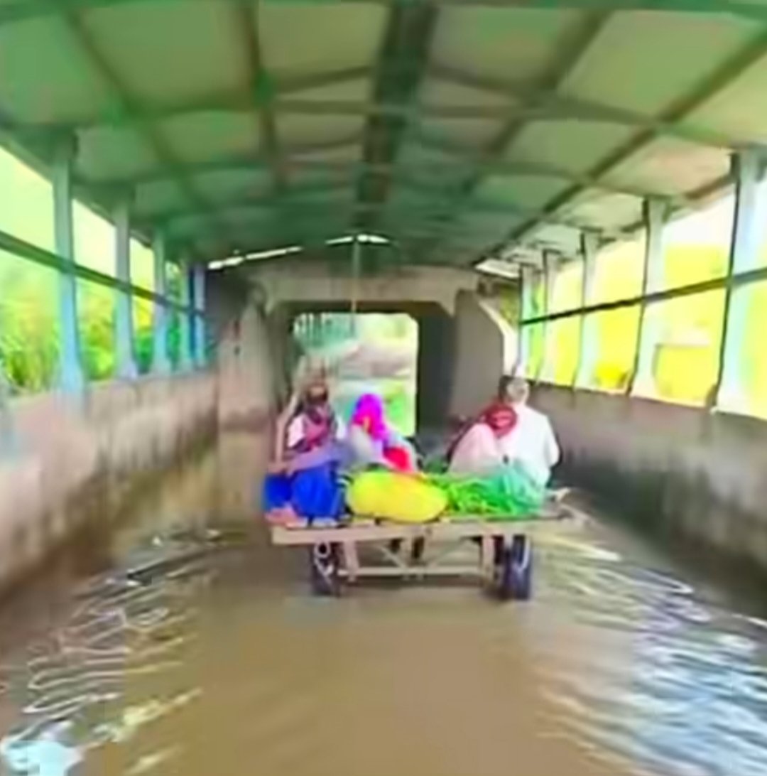 ViralIndia100's tweet photo. India निकाला अमेरिका से आगे 😡

ये video अभी अभी देखा जिसमें 
कुछ मज़दूर अपनी बैल गाड़ी से टर्नल पार कर रहे थे 
पानी इतना भरा था की वो लोग डूब सकते थे 
सवाल ये है पानी इतना क्यों भरा 
और किसकी गलती हैं 

#ShefaliJariwala https://t.co/GJvrtEudzD
