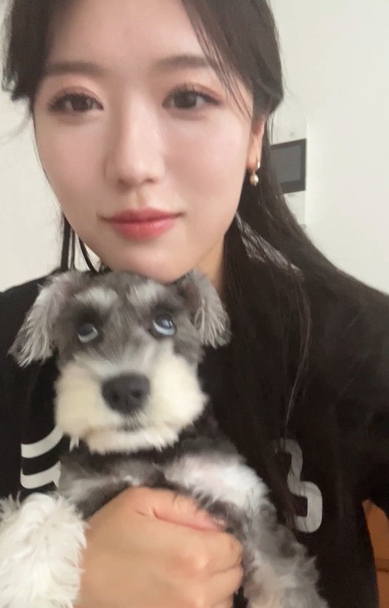 ｵﾊｼｭﾅ˙ᴥ˙  🔆

#ミニチュアシュナウザー