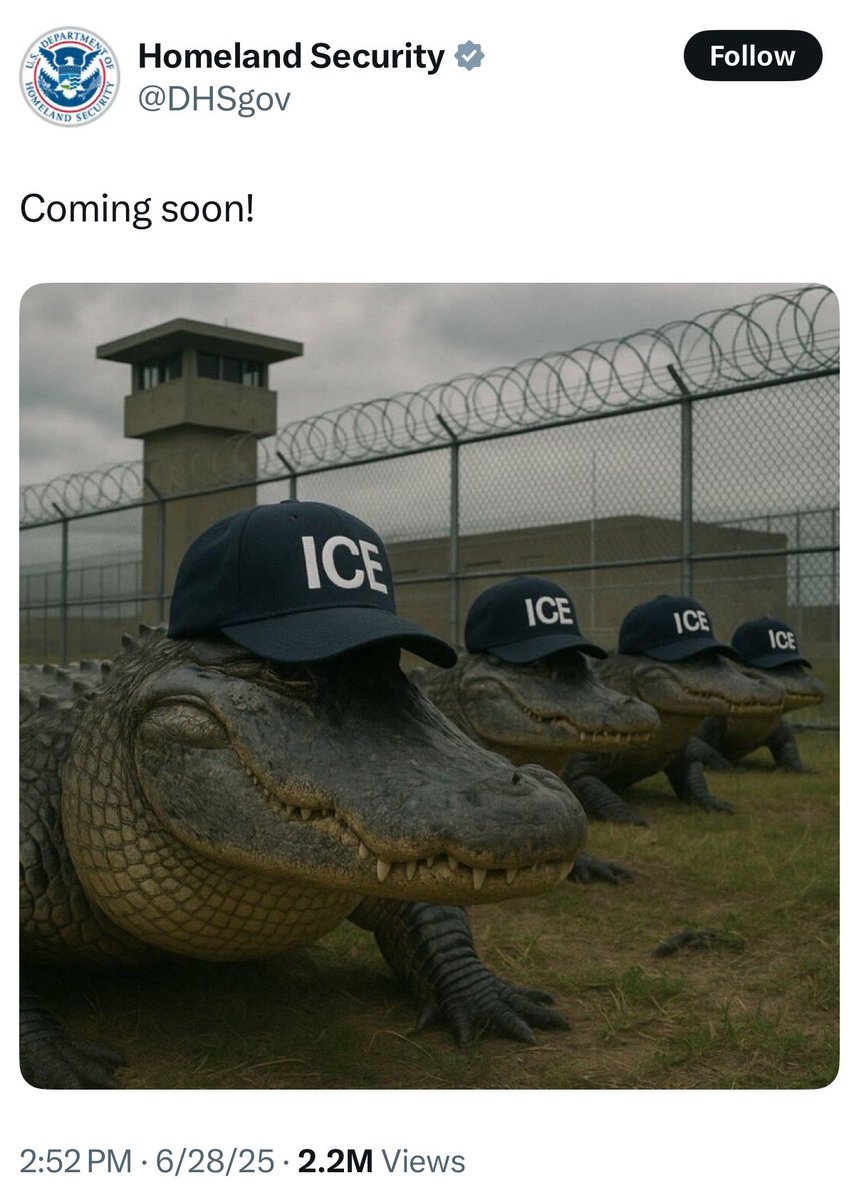 They are joking and memeing about the concentration camps they’re building to hold the people from our communities that they are abducting.

These are truly evil people.